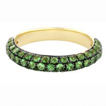Ring 46500019